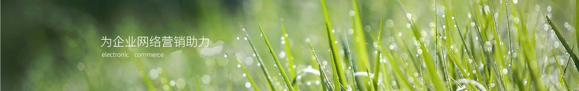 ԴũҵƼ޹˾